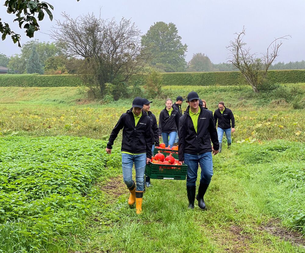 It tastes best fresh from the field: robatherm trainees harvesting pumpkins.