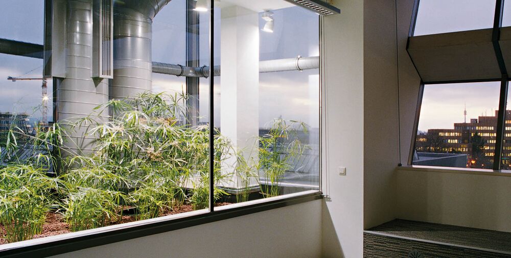 All-round well-being: Greening beautifies the ambiance and improves the air.